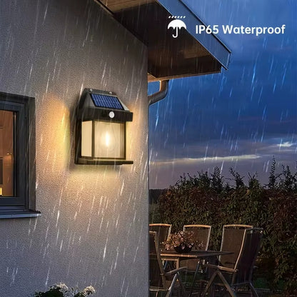 Luces Solares Decorativas Holux ® - KIT 3 UNIDADES